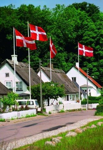 Sådan bruges Dannebrog. Så ved vi det (marts 2019) Sådan bruges Dannebrog fra 2019 er en bog om regler og kutymer for, hvordan du anvender det danske flag.