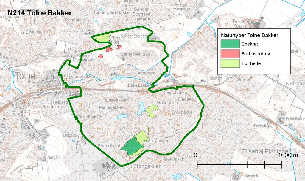 Resumé Udkast til handleplan for Tolne Bakker beskriver den indsats, der skal igangsættes i Natura 2000-området inden udgangen af 2021.