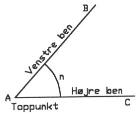 Måling af vinkler Vinkler måles med en vinkelmåler.