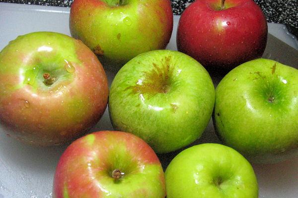 Mad fra æbletræet DANMARK HAR VERDENS BEDSTE ÆBLER Danmark har et godt klima til æbler, og det giver saftige æbler, der er kendt for deres tynde skræl og gode kombination af sødme og syrlighed.
