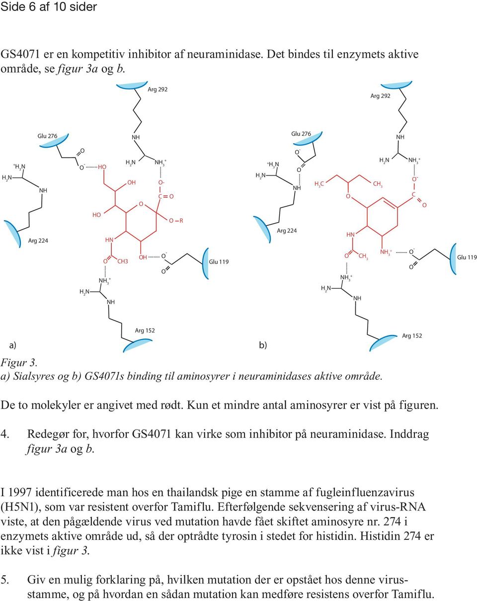 a) Sialsyres og b) GS4071s binding til aminosyrer i neuraminidases aktive område. Arg 152 De to molekyler er angivet med rødt. Kun et mindre antal aminosyrer er vist på figuren. 4.