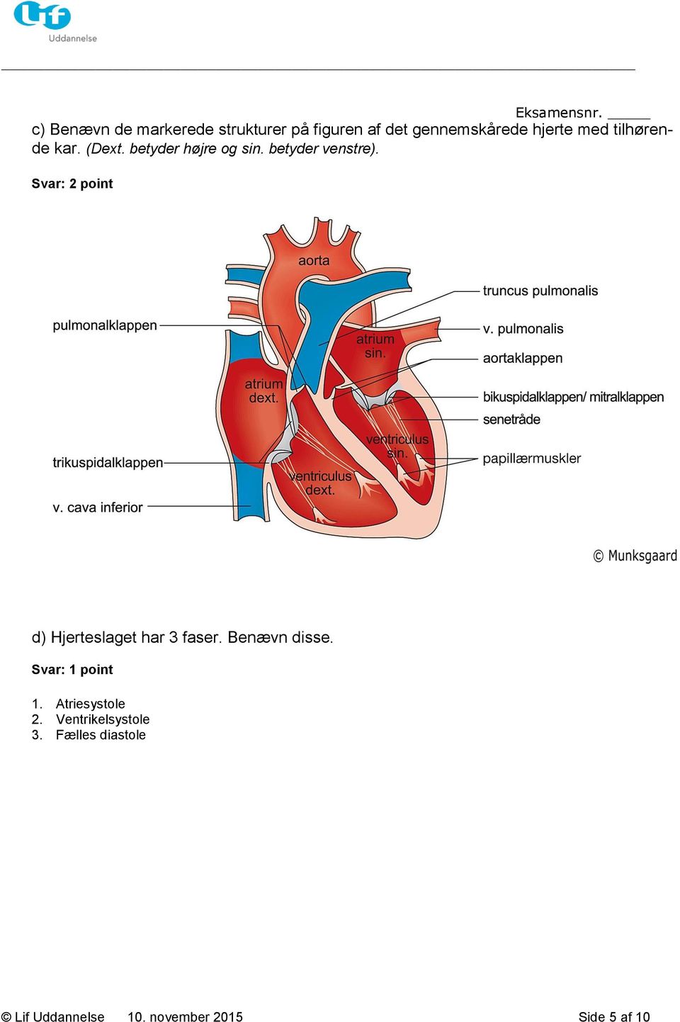 Svar: 2 point d) Hjerteslaget har 3 faser. Benævn disse. 1. Atriesystole 2.