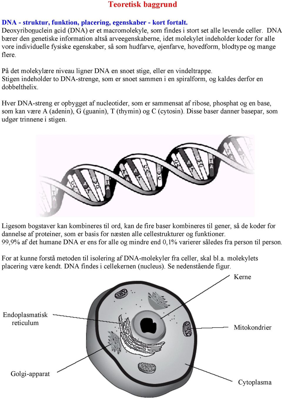 flere. På det molekylære niveau ligner DNA en snoet stige, eller en vindeltrappe. Stigen indeholder to DNA-strenge, som er snoet sammen i en spiralform, og kaldes derfor en dobbelthelix.