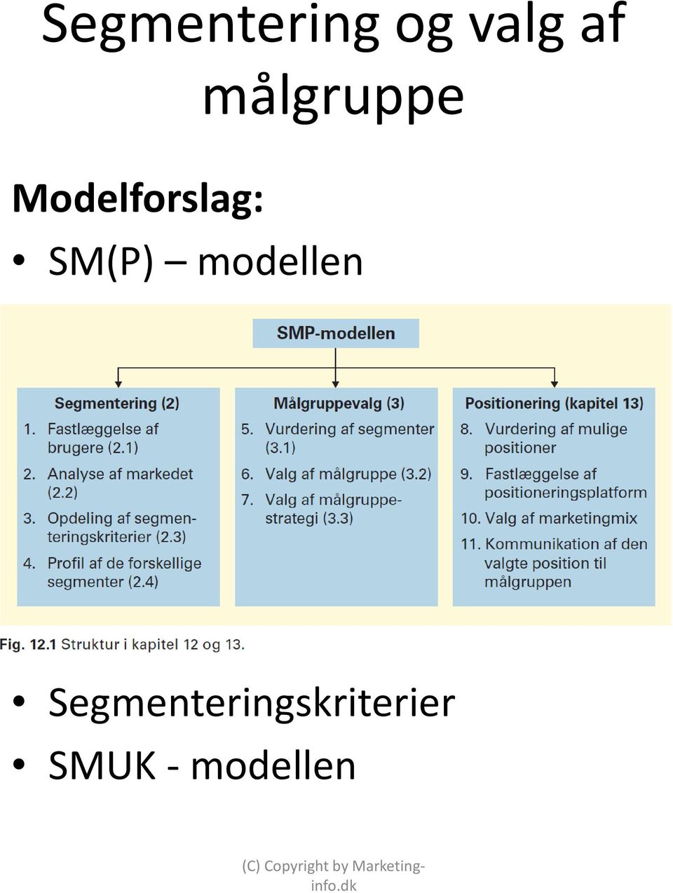 SM(P) modellen