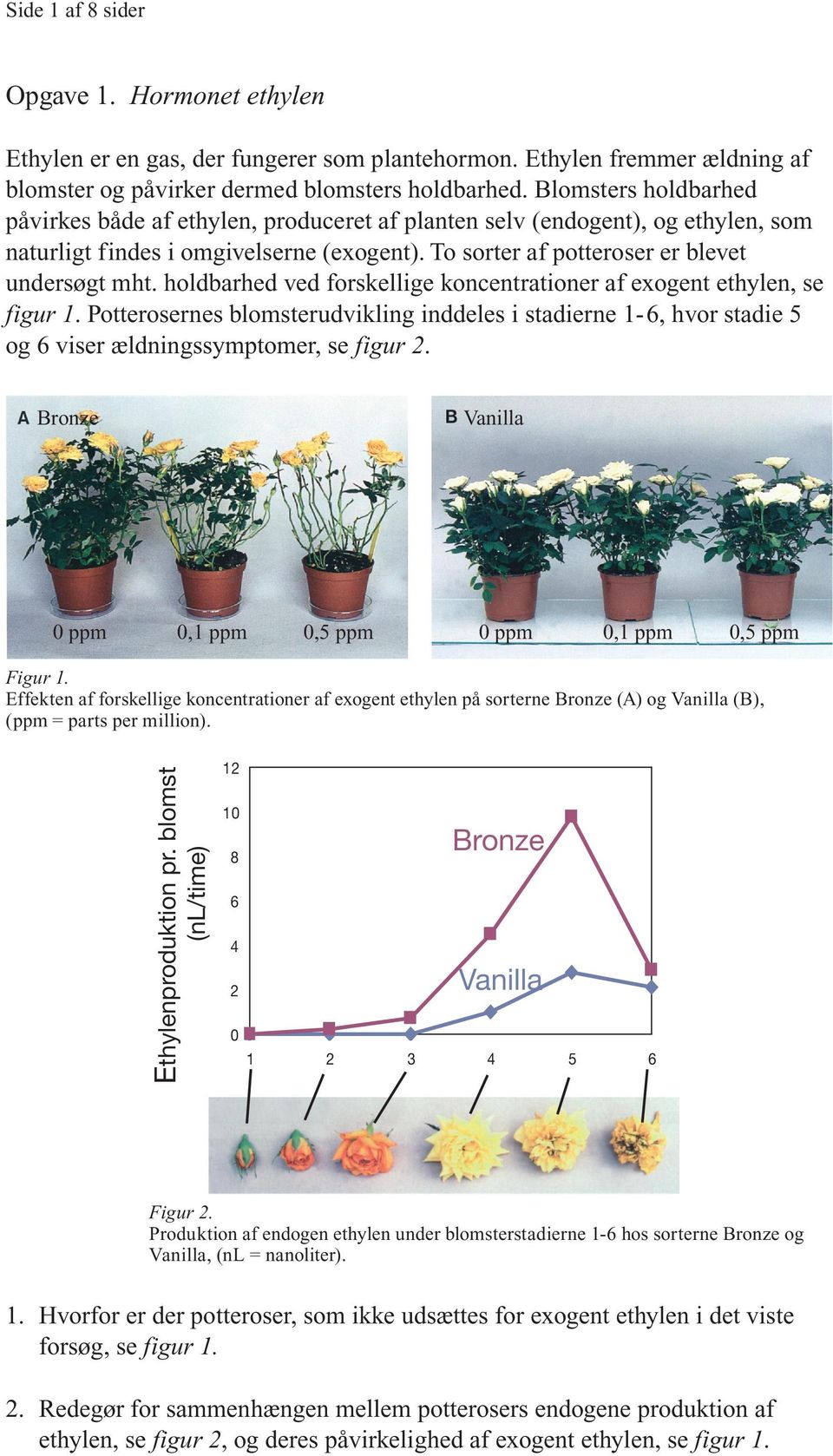 holdbarhed ved forskellige koncentrationer af exogent ethylen, se figur 1. Potterosernes blomsterudvikling inddeles i stadierne 1-6, hvor stadie 5 og 6 viser ældningssymptomer, se figur 2.