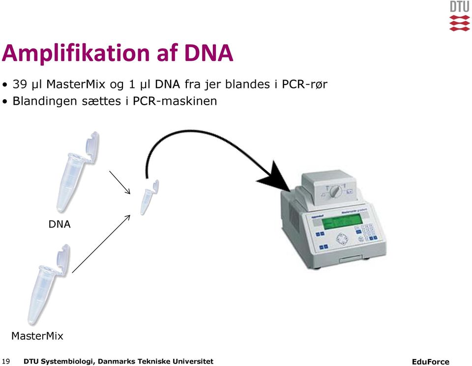 sættes i PCR-maskinen DNA MasterMix 19 DTU