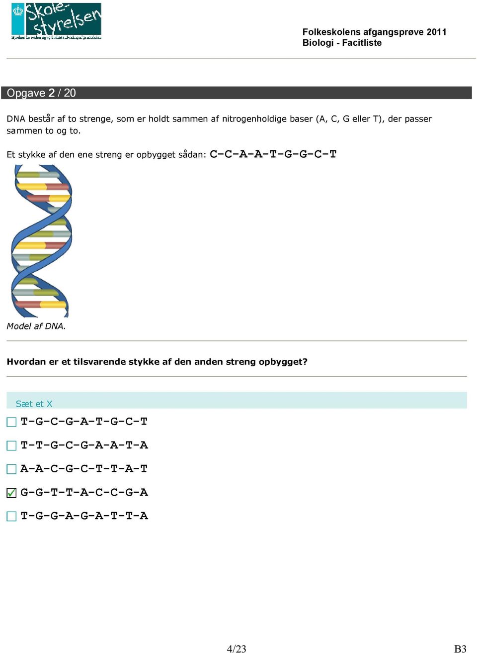 Et stykke af den ene streng er opbygget sådan: C-C-A-A-T-G-G-C-T Model af DNA.