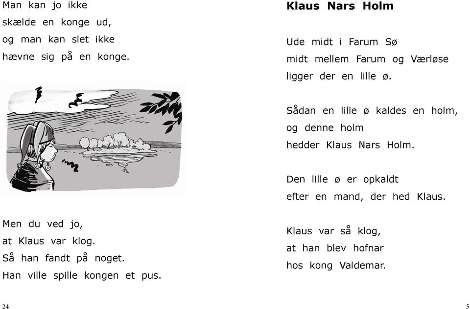 Sådan en lille ø kaldes en holm, og denne holm hedder Klaus Nars Holm.