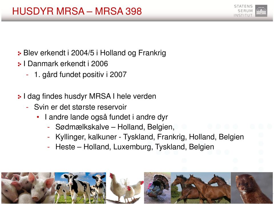 reservoir I andre lande også fundet i andre dyr - Sødmælkskalve Holland, Belgien, -