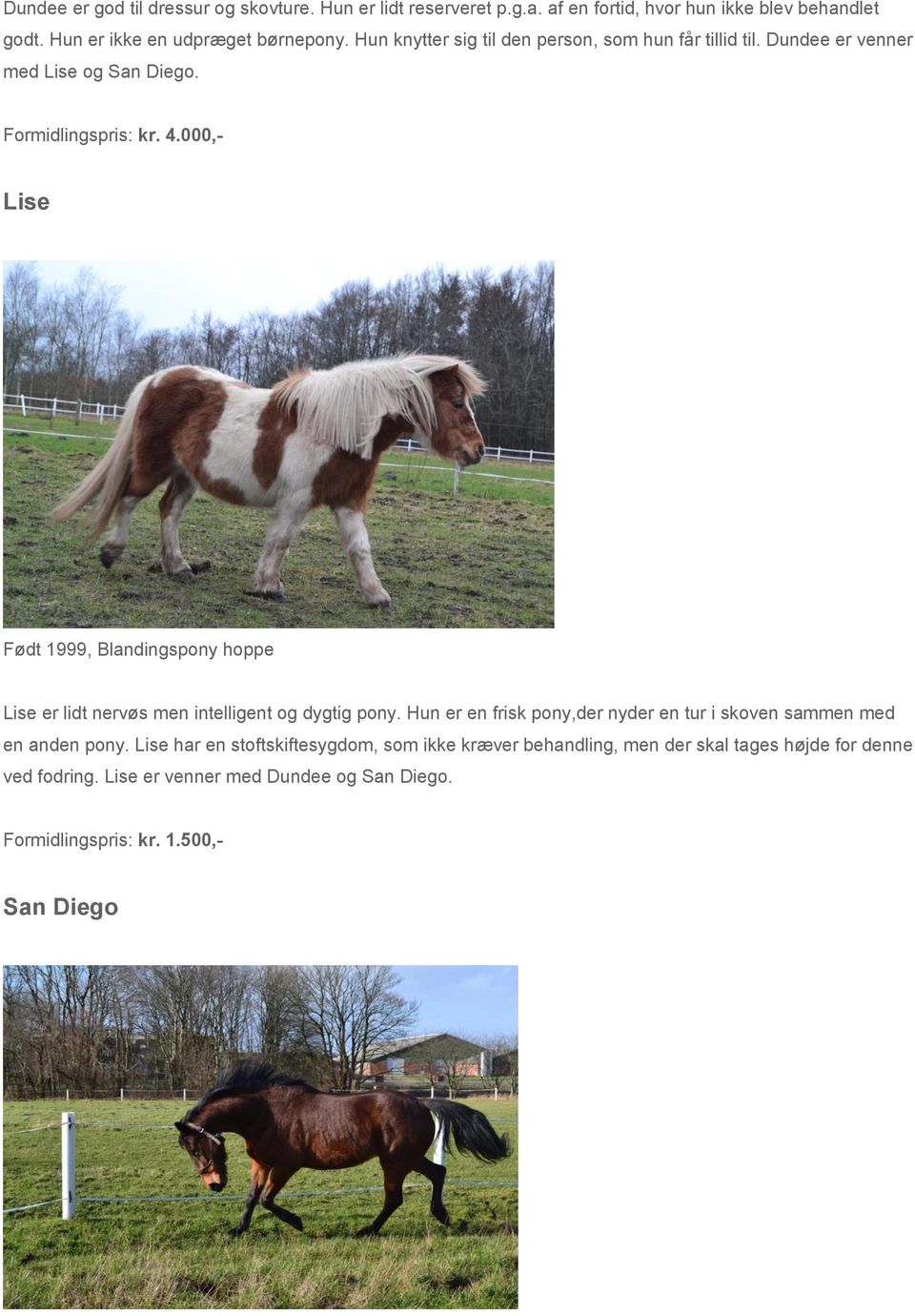 000,- Lise Født 1999, Blandingspony hoppe Lise er lidt nervøs men intelligent og dygtig pony.