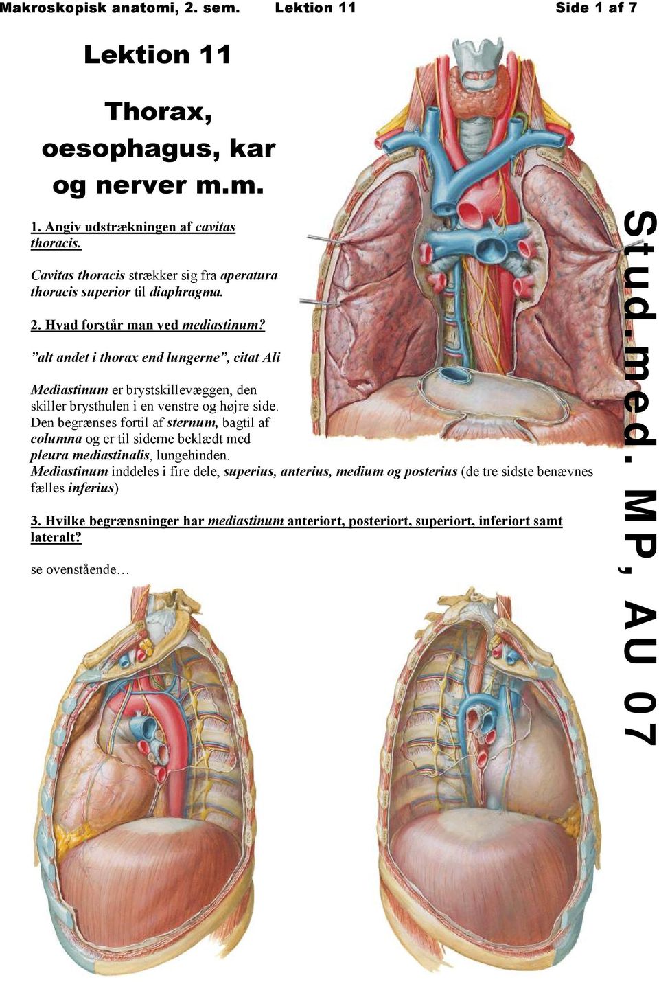 alt andet i thorax end lungerne, citat Ali Mediastinum er brystskillevæggen, den skiller brysthulen i en venstre og højre side.