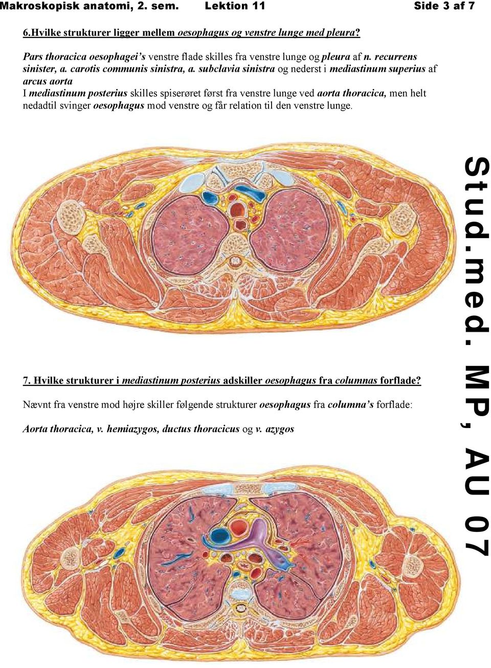 subclavia sinistra og nederst i mediastinum superius af arcus aorta I mediastinum posterius skilles spiserøret først fra venstre lunge ved aorta thoracica, men helt nedadtil svinger