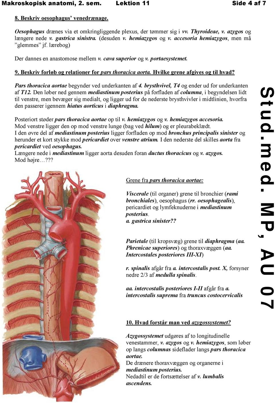 Beskriv forløb og relationer for pars thoracica aorta. Hvilke grene afgives og til hvad? Pars thoracica aortae begynder ved underkanten af 4. brysthvivel, T4 og ender ud for underkanten af T12.