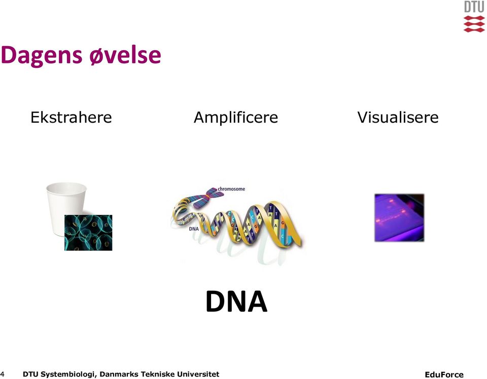 DNA 4 DTU Systembiologi,