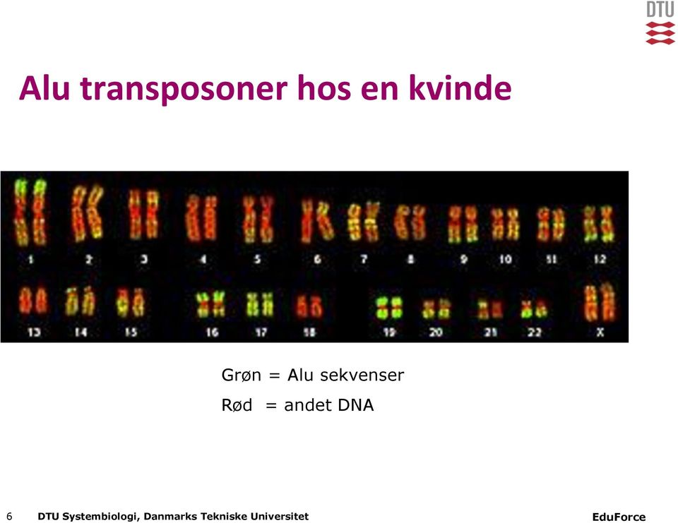 Rød = andet DNA 6 DTU