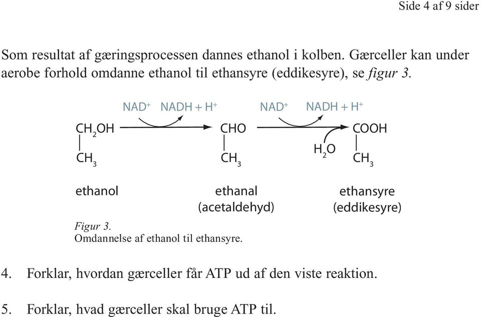 CH 2 OH CH 3 NAD + NADH + H + NAD + NADH + H + CHO CH 3 H 2 O COOH CH 3 ethanol ethanal (acetaldehyd) Figur 3.