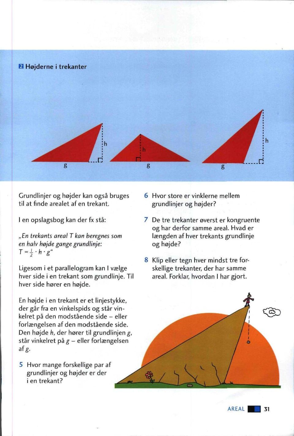Til hver side hører en højde. 6 Hvor store er vinklerne mellem grundlinjer og højder? 7 De tre trekanter øverst er kongruente og har derfor samme areal.