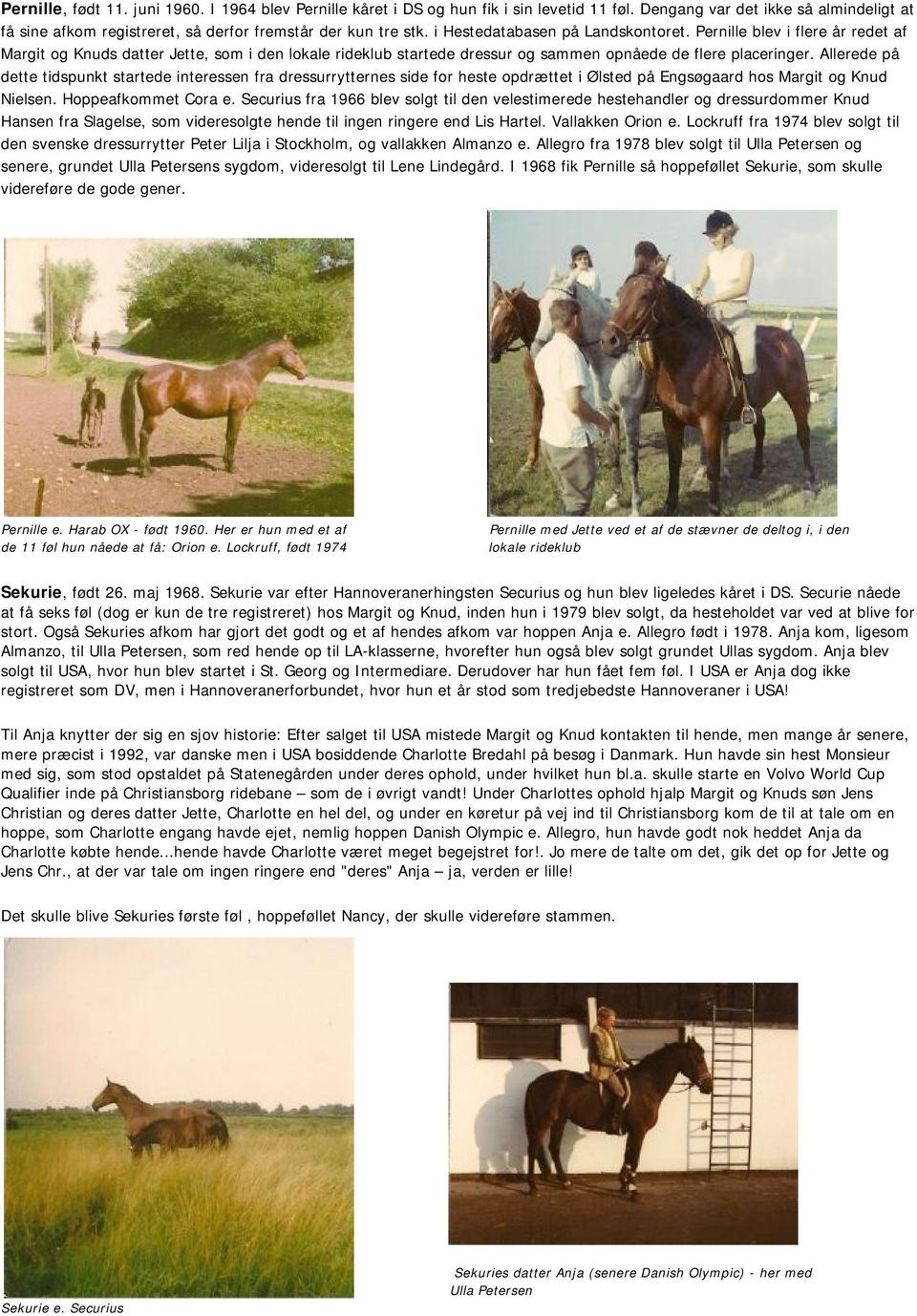 Allerede på dette tidspunkt startede interessen fra dressurrytternes side for heste opdrættet i Ølsted på Engsøgaard hos Margit og Knud Nielsen. Hoppeafkommet Cora e.