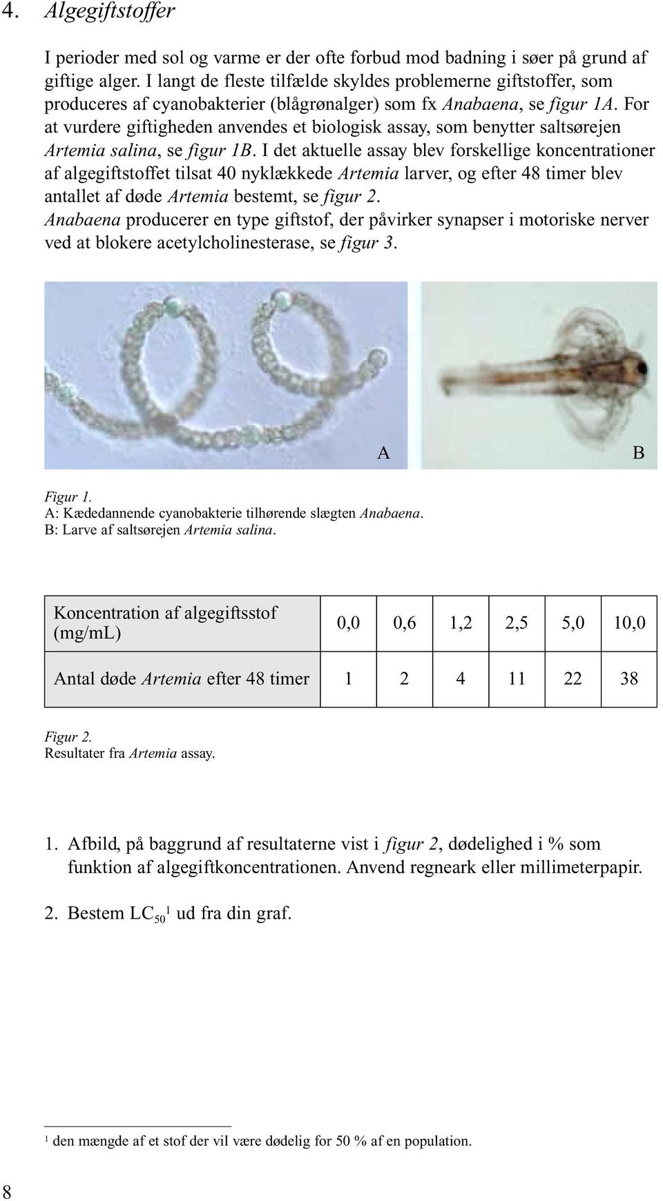 For at vurdere giftigheden anvendes et biologisk assay, som benytter saltsørejen Artemia salina, se figur 1B.