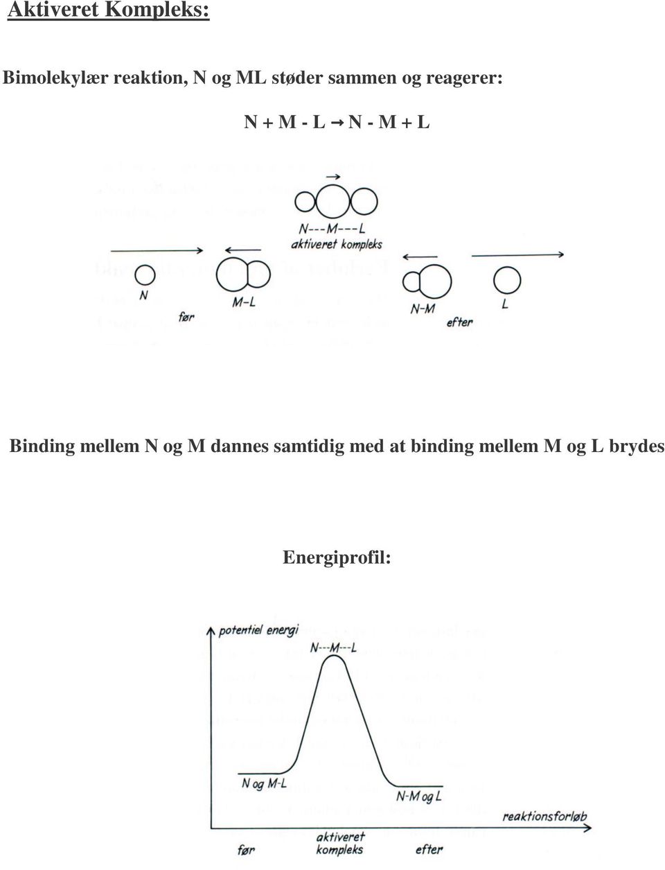 - M + L Binding mellem N og M dannes samtidig