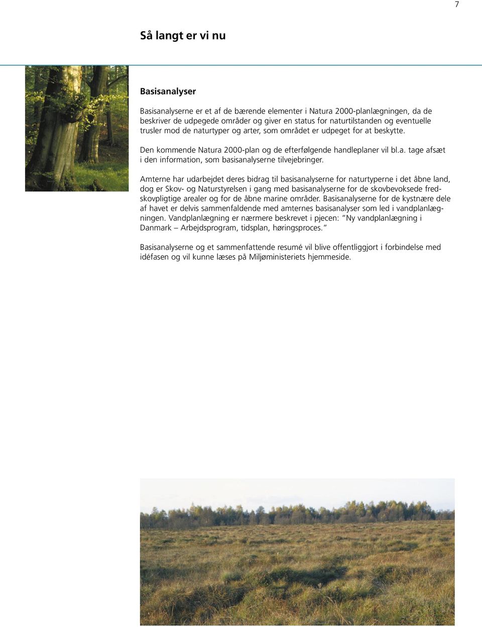 Amterne har udarbejdet deres bidrag til basisanalyserne for naturtyperne i det åbne land, dog er Skov- og Naturstyrelsen i gang med basisanalyserne for de skovbevoksede fredskovpligtige arealer og