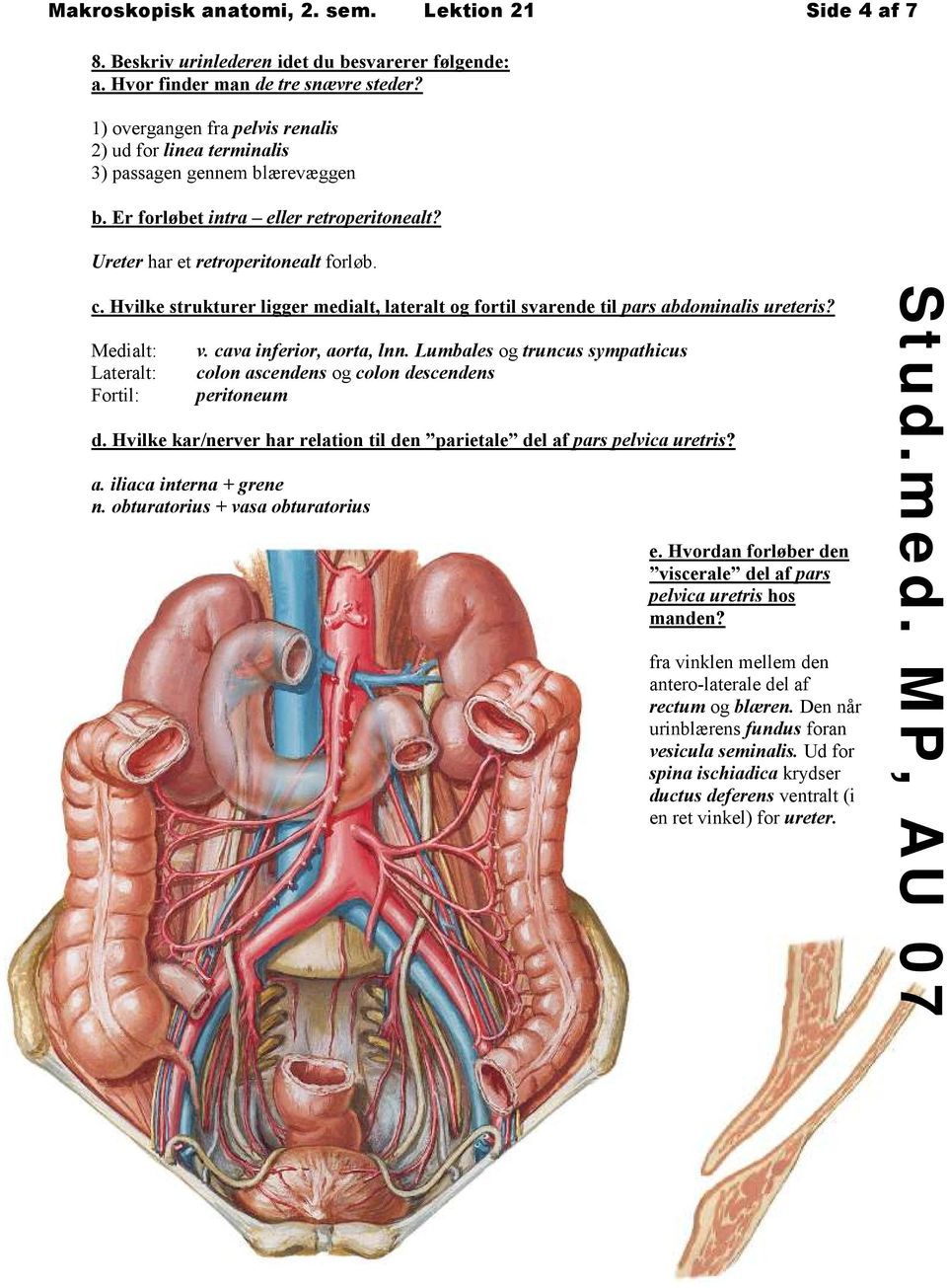 Hvilke strukturer ligger medialt, lateralt og fortil svarende til pars abdominalis ureteris? Medialt: Lateralt: Fortil: v. cava inferior, aorta, lnn.