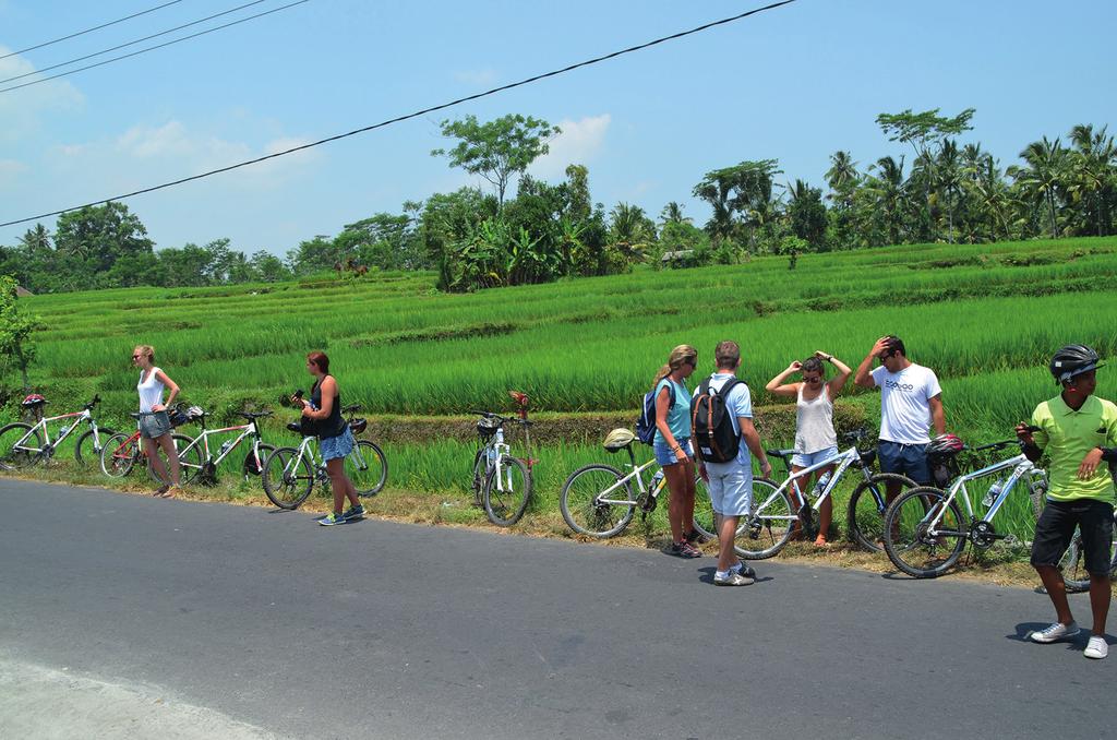 Folkeskolens 9.-klasseprøve 2015 Opgave 20/20 Hvad kan du selv gøre? I din hverdag kan du selv være med til at nedbringe udslip af drivhusgasser til atmosfæren. Cykelturisme på Bali, Indonesien.