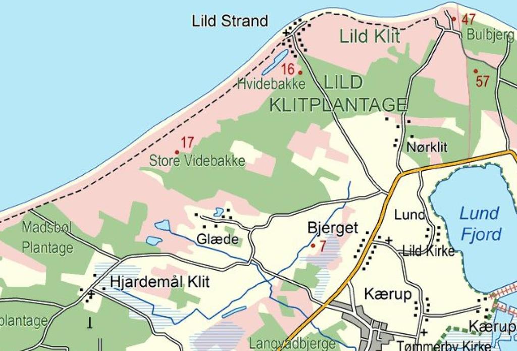 Resumé Handleplanen for habitatområde H185 Lild Strand og Lild Strandkær beskriver den indsats, der skal igangsættes i Natura 2000-området inden udgangen af 2021.