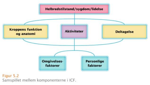 Som sosu-ass er ICF vigtigt ift: Tænkningen bag ICF Brug af de forskellige komponenter og samspillet mellem dem.
