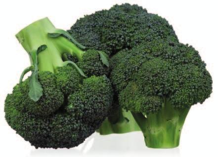 Side 4 af 10 sider pgave 2: Et cancerhæmmende stof i broccoli Studier har vist, at mennesker, som spiser meget broccoli, har nedsat risiko for at udvikle visse typer af cancer.