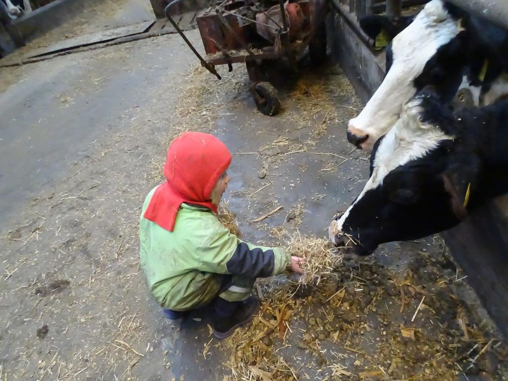 Ude ved bondemand Jens lærer vi, at være gode ved dyrene, vi lærer hvordan man skal passe på
