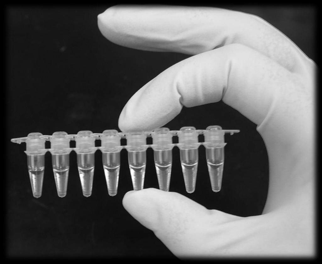 Test dit eget DNA med PCR