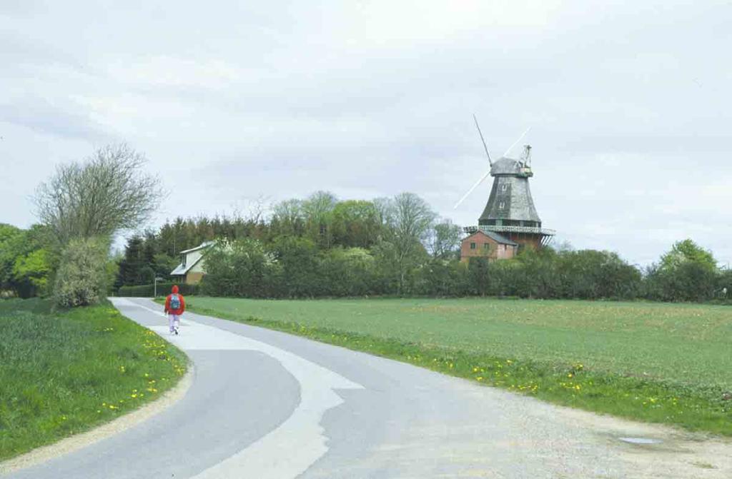 Sammenfatning Langeland og Strynø var tidligere kendt for deres mange hollandske vindmøller.