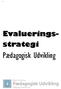 Evalueringsstrategi. Pædagogisk Udvikling
