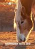 Program for Hesteudstillingen Fredag den 14. juni 2019