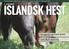 Islandsk Hest er snart på gaden... Vælg din annonce her