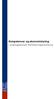 Kompetencer og økonomistyring. et styringsdokument i Bornholms Regionskommune