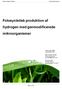 Fotosyntetisk produktion af hydrogen med genmodificerede mikroorganismer