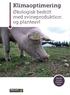 Klimaoptimering. Økologisk bedrift med svineproduktion og planteavl SÅDAN GØR DU KLIMA- REGNSKABET BEDRE