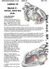 Makroskopisk anatomi, 2. sem. Lektion 14 Side 1 af 5