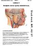 Stud.med. MP, AU 07. Lektion 3. Ansigtets nerver og kar, kæbeled m.m. Makroskopisk anatomi, 2. sem. Lektion 3 Side 1 af 7