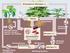 The soil-plant systems and the carbon circle