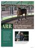 ARR. løser rideproblemerne for hest og rytter. MINITEMA Anatomisk Rigtig Ridning. Mens store dele af hesteverdenen