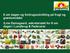 6 om dagen og forbrugsudvikling på frugt og grøntområdet /Line Damsgaard, sekretariatet for 6 om dagen i Landbrug & Fødevarer