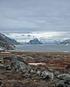FORSLAG. Anordning om ikrafttræden for Grønland af lov om ændring af anordning om adoption