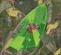 Afgørelse om at statsligt skovrejsningsprojekt ved Aars i Vesthimmerlands Kommune ikke er VVM-pligtig