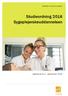 UNIVERSITY COLLEGE LILLEBÆLT. Studieordning 2016 Sygeplejerskeuddannelsen