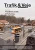 Vejbelægningens indflydelse på stærkt trafikerede gadestrækninger i Danmark